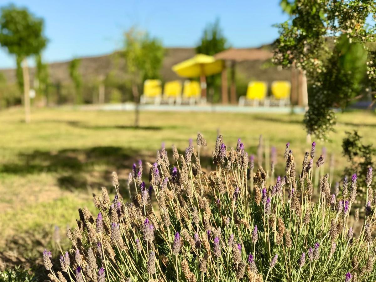 Cabanas Econature Valle Grande  Екстер'єр фото
